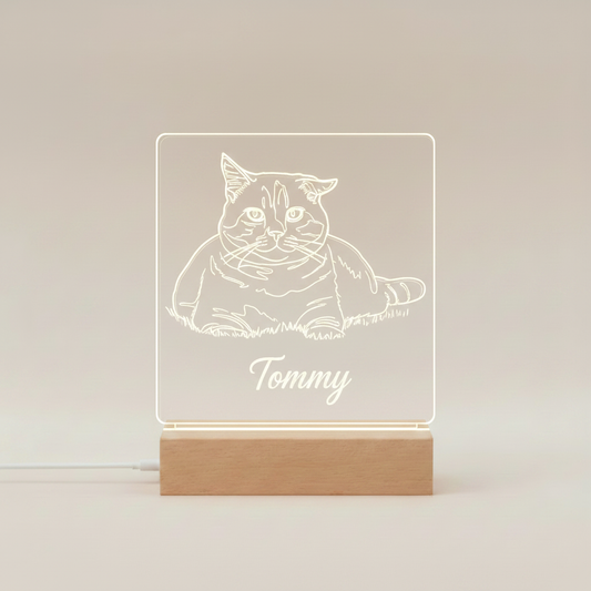 Candeeiro Acrílico LED — Recorte Gato Tommy
