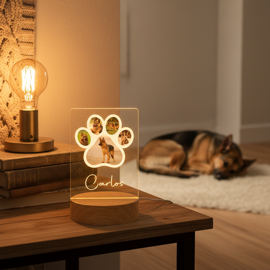 Lifestyle Placa LED Patinha - Home Office Cozy