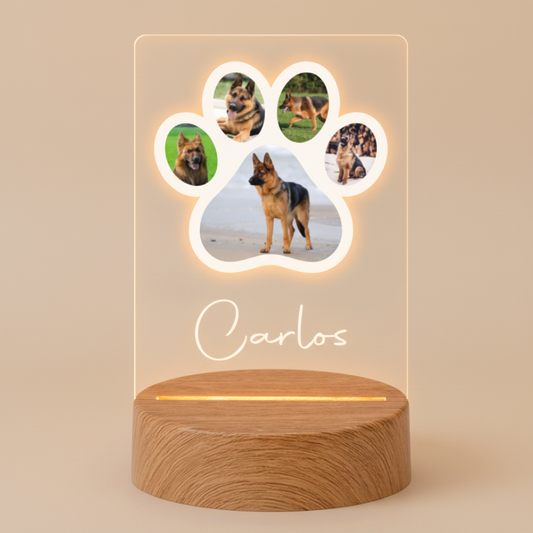 Packshot Placa LED Patinha Cão 1:1